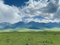 -新疆那拉提国家旅游度假区