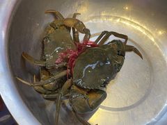 -七欣天香辣蟹火锅(上海银亿滨江店)