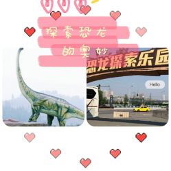 -恐龙探索乐园(磁器口店)
