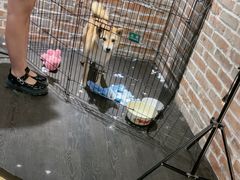 -呼吸沉浸式剧场(甘露园店)