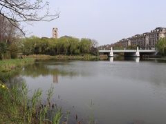 -新江湾城公园