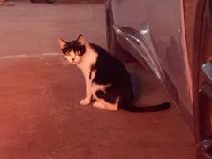 -丁字口海鲜热炒·烧烤大排档