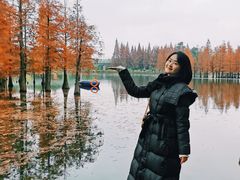 -白鹭湾湿地公园