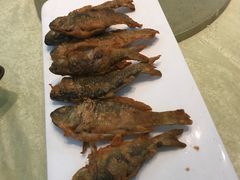 香煎禾花鱼-小北江河鲜(新城店)