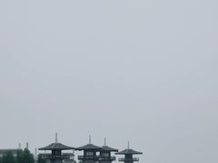 -呼兰河口湿地公园