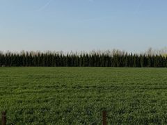 -汉长安城未央宫国家考古遗址公园