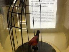 -上海电影博物馆