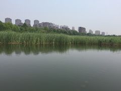 -前关湿地公园
