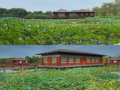 -泗洪洪泽湖湿地景区