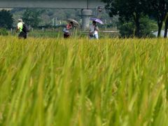 -光明小镇欢乐田园