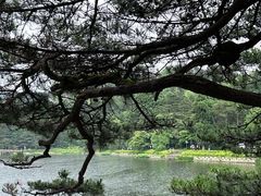 -庐山风景区花径公园