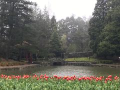 -庐山风景区花径公园