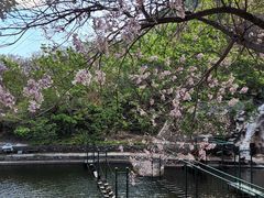 -京东石林峡风景区