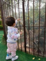 -萌宠亲子动物乐园(槐房万达店)