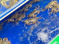 -阳澄湖大闸蟹·琼灵阁牌品牌连锁(吴中总店)
