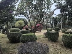 -北海市海滨公园