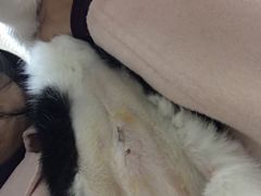 -联合动物医院(光谷诊疗中心)