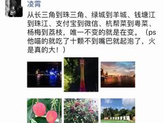 -珠江夜游广州塔·中大码头