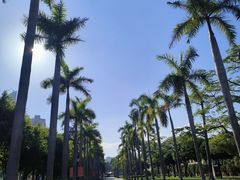 -厦门大学(思明校区)