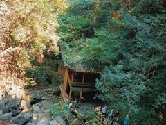 -藏龙百瀑风景区