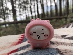 -重庆睡佛山森林公园