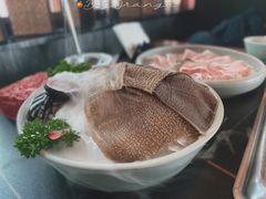 绿色肚王脆毛肚-大隐·成都火锅Bistro(合生麒麟新天地店)