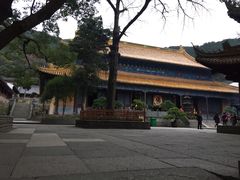 -普陀山风景名胜区-法雨禅寺