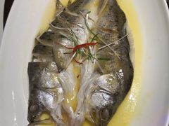 -昆山招商花园城