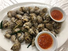 海螺-老三鱼仔店