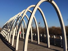 -大兴滨河森林公园