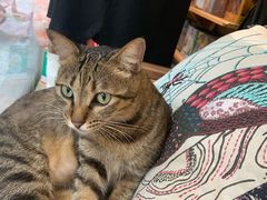 -恋物百货商店(华侨城店)