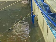 -小象钓虾·营地烧烤(洛溪店)