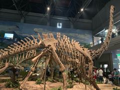 -自贡恐龙博物馆