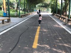 -石家庄市动物园