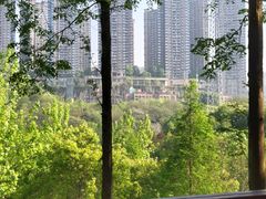 -重庆彩云湖湿地公园