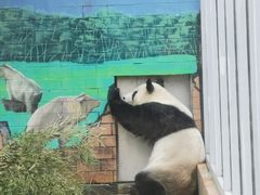 -苏州太湖国家湿地公园