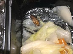 -田老师红烧肉(朝阳建外东区店)