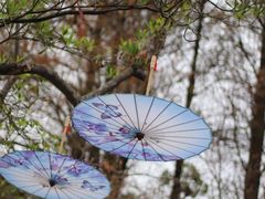 -人民公园(罗湖区)