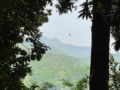 -阳台山森林公园