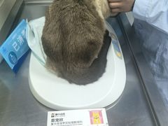-总动员动物医院(宝丰院店)
