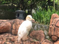 -吉隆坡雀鸟公园