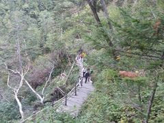 android_upload_pic-凤凰山国家森林公园