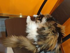 -陈记农家挂炉烤肉(雁南一路店)