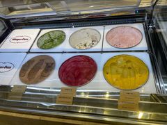 -哈根达斯(美罗城店)