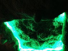 -海洋之星休闲汗蒸浴场