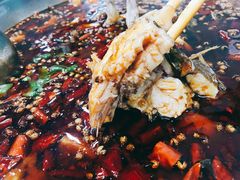-麻辣巅峰美蛙鱼头火锅(犀浦店)
