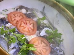 千岛湖浓汤鱼头-全乐鱼馆·淳牌有机鱼直营店