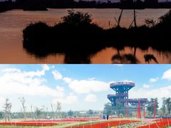 -芒洲湿地公园