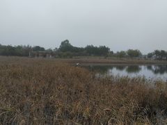 -五里桥文化公园-西侧停车场