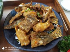 -轩记海鲜餐厅·四十五年老字号·经典粤菜(西区彩虹店)